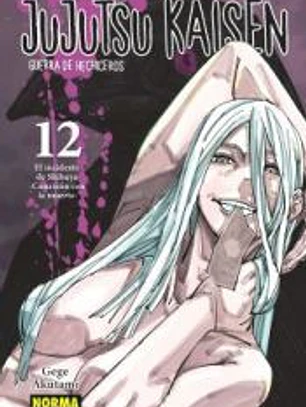 Jujutsu Kaisen 12