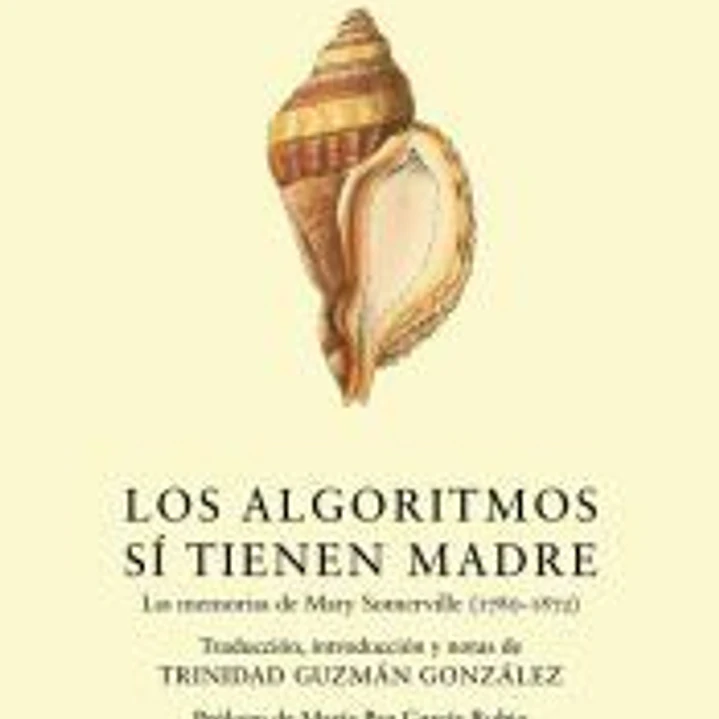 Los algoritmos sí tienen madre 1