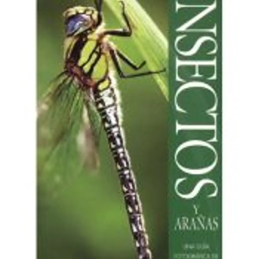 INSECTOS Y ARAÑAS. GUÍA DE BOLSILLO 1