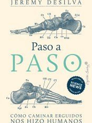 Paso a paso