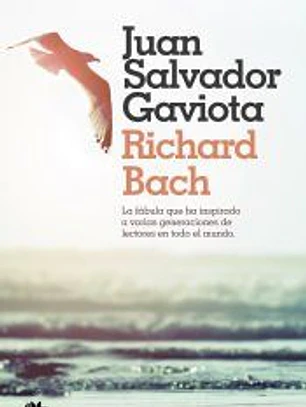 Juan Salvador Gaviota
