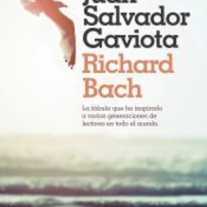 Juan Salvador Gaviota 1