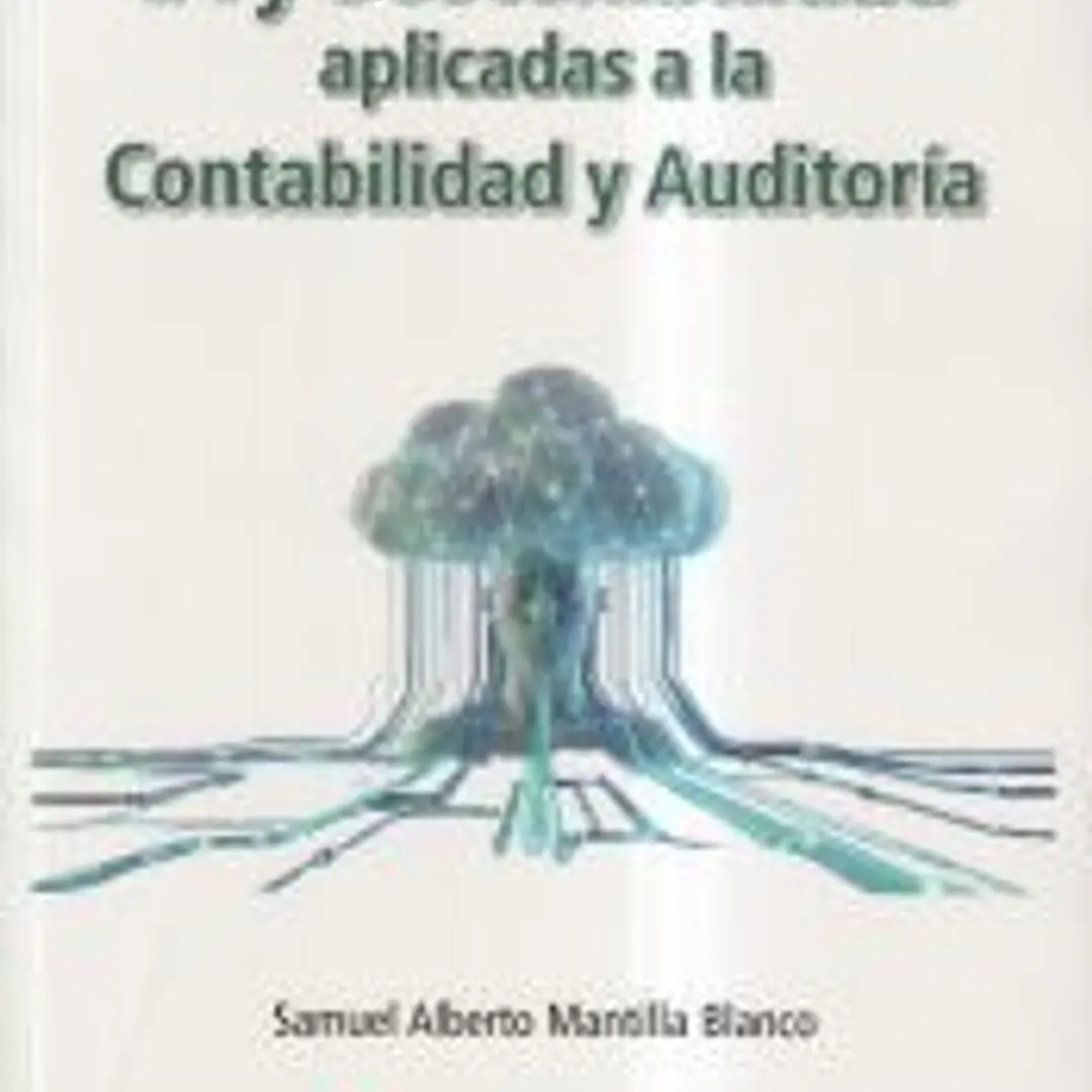 IA y Sostenibilidad aplicadas a la Contabilidad y la Auditoría 1