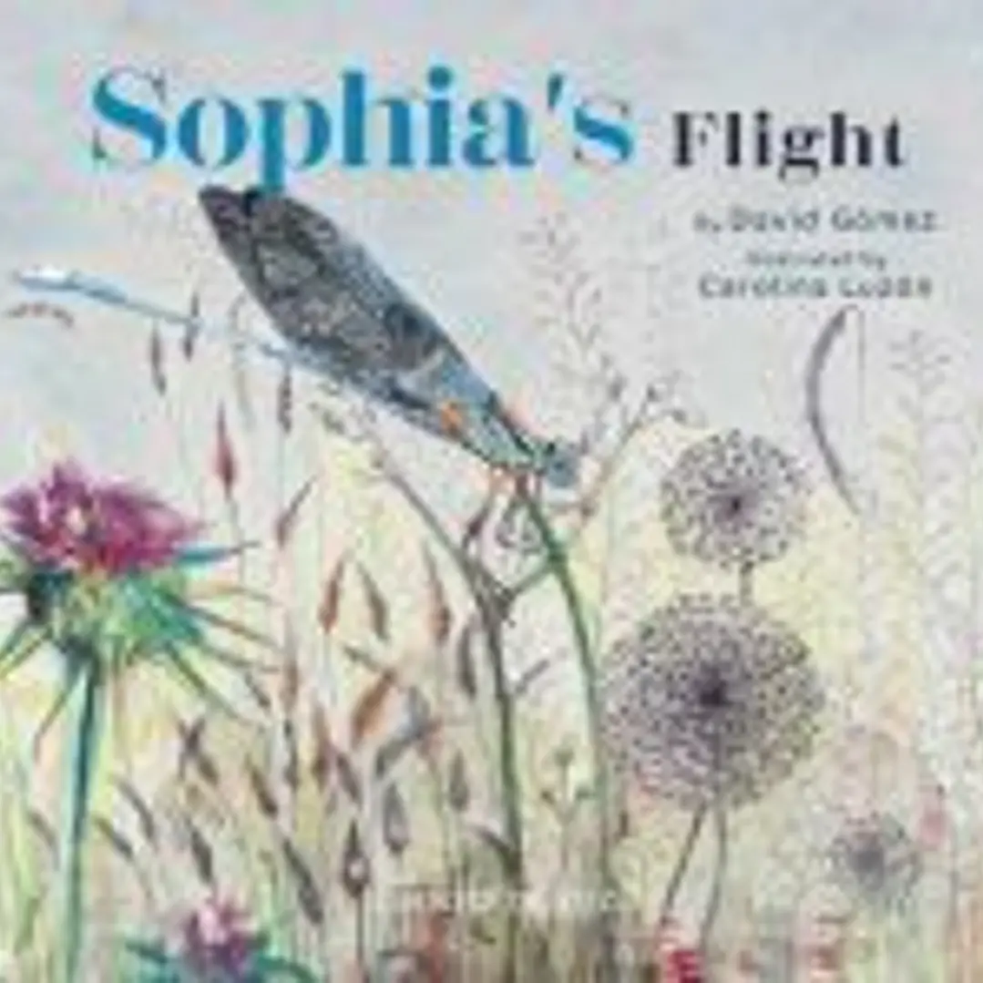 Sophia's Flight 1