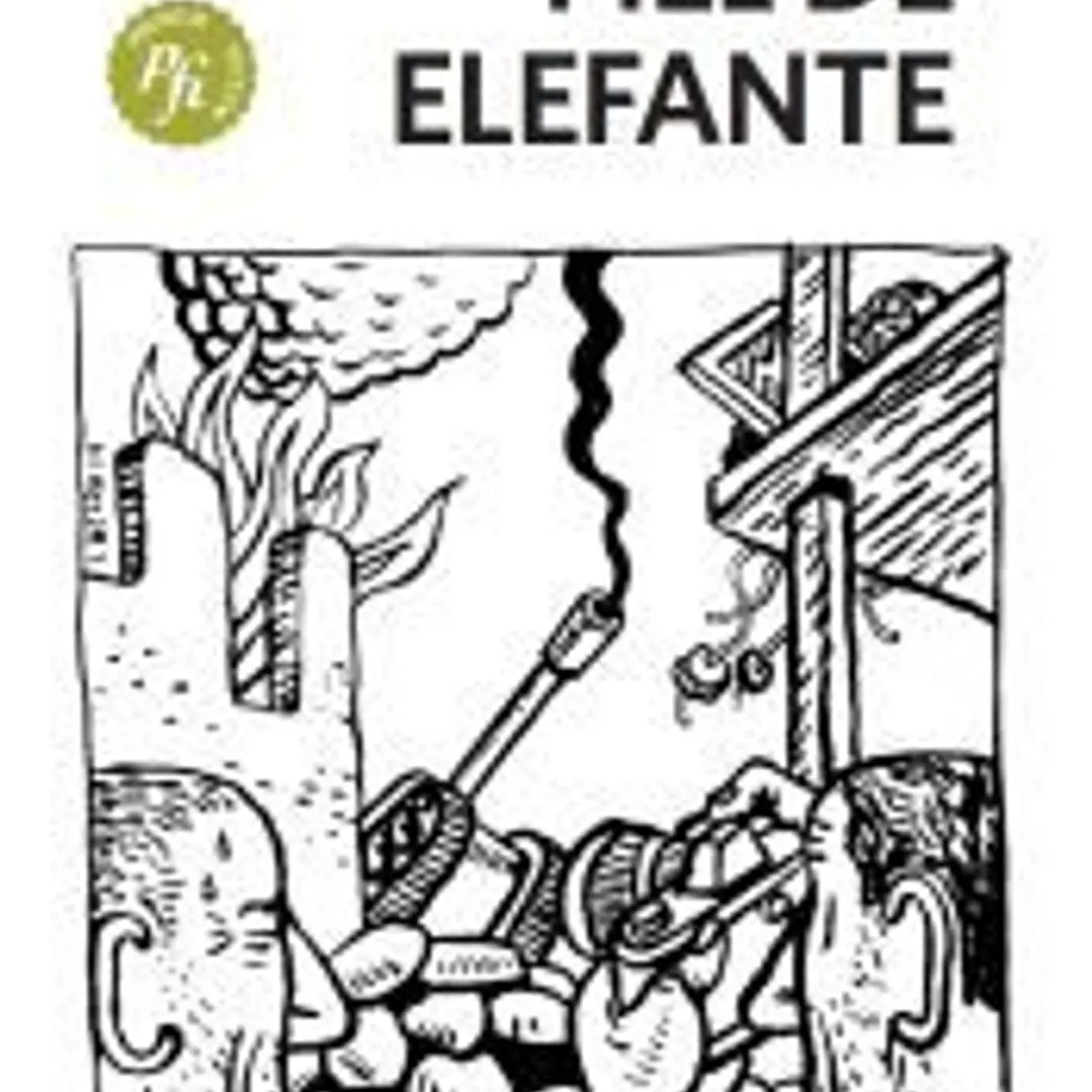 Piel de Elefante 1