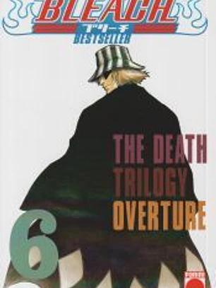 Bleach: Bestseller 6