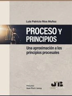 Proceso y Principios