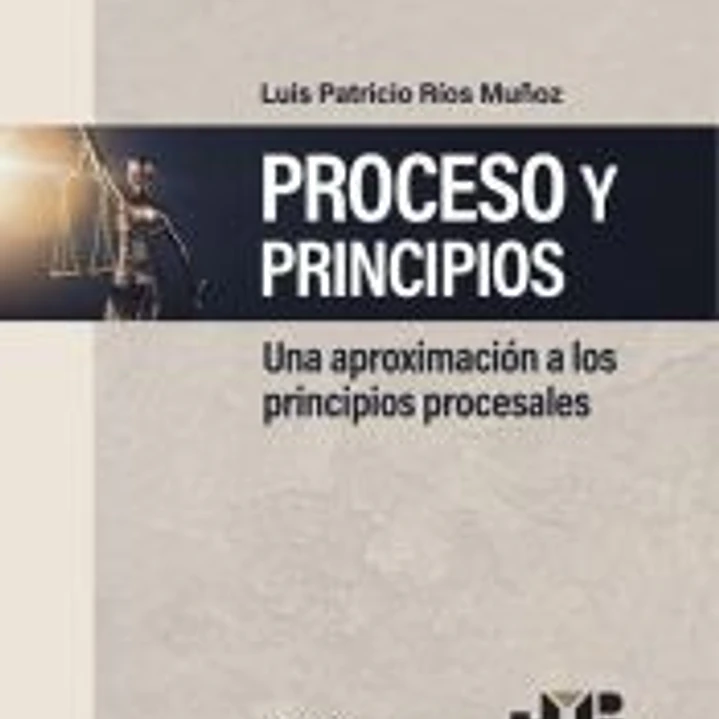 Proceso y Principios 1