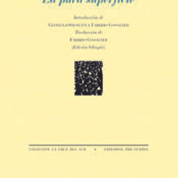 La pura superficie 1