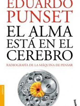 El alma está en el cerebro