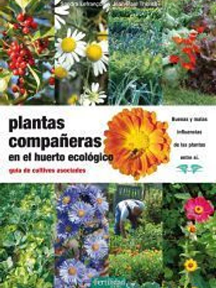 Plantas compañeras en el huerto ecológico