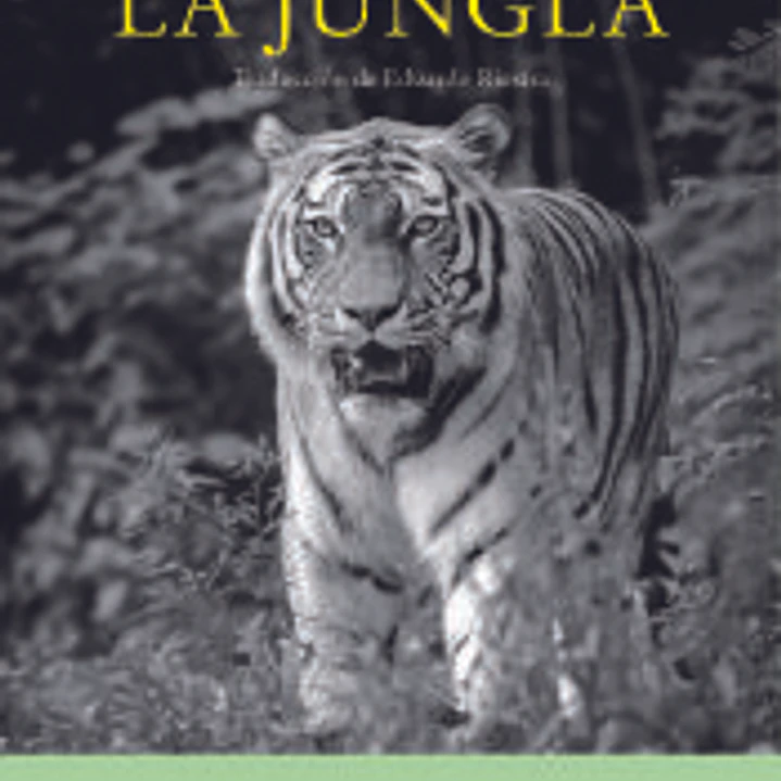 La sabiduría de la jungla 1