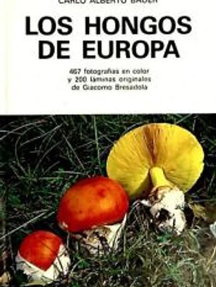 LOS HONGOS DE EUROPA