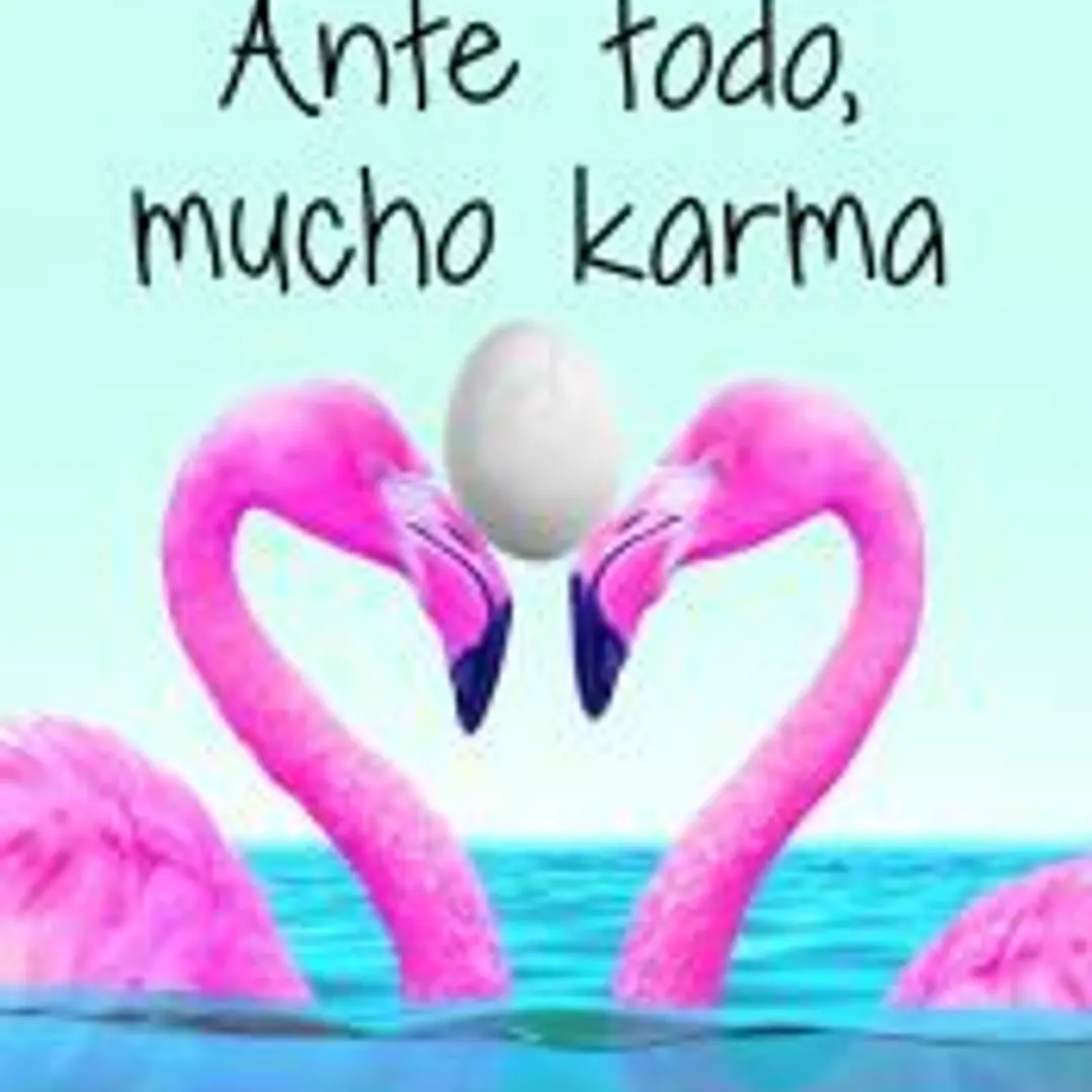 Ante todo, mucho karma 1