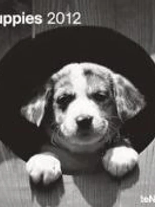 Calendario 2012. Puppies.