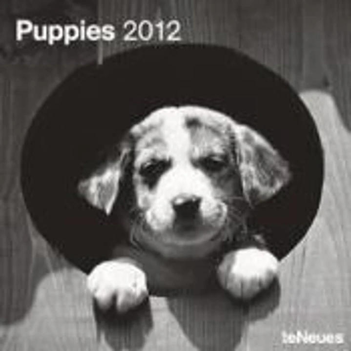 Calendario 2012. Puppies. 1