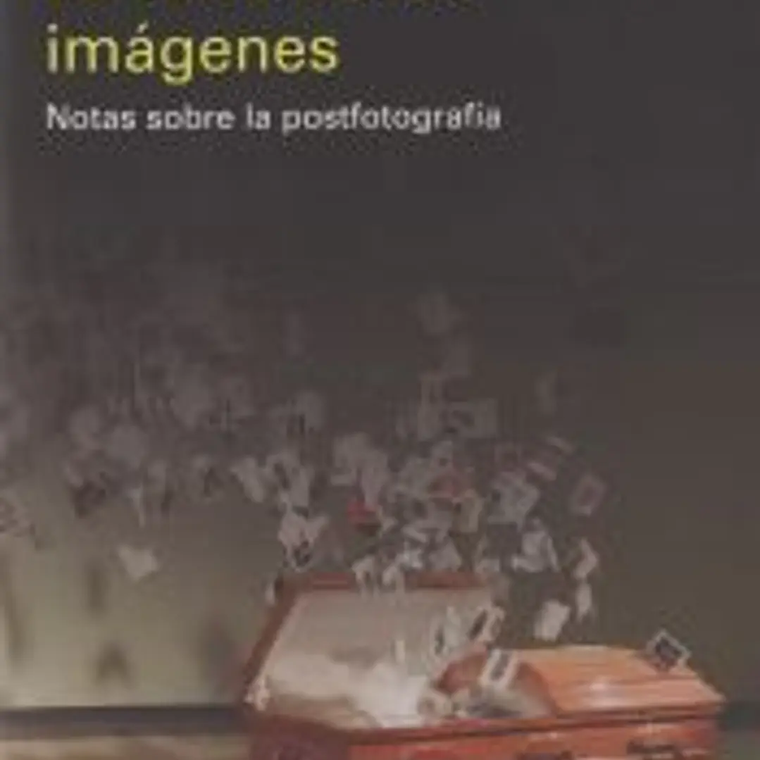 La furia de las imágenes: Notas sobre la postfotografía 1