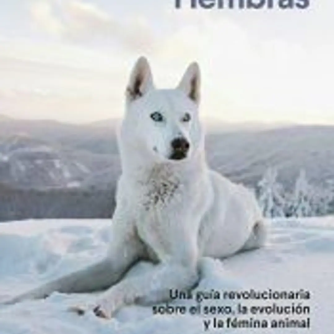 Hembras 1