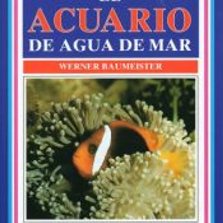 EL ACUARIO DE AGUA DE MAR 1