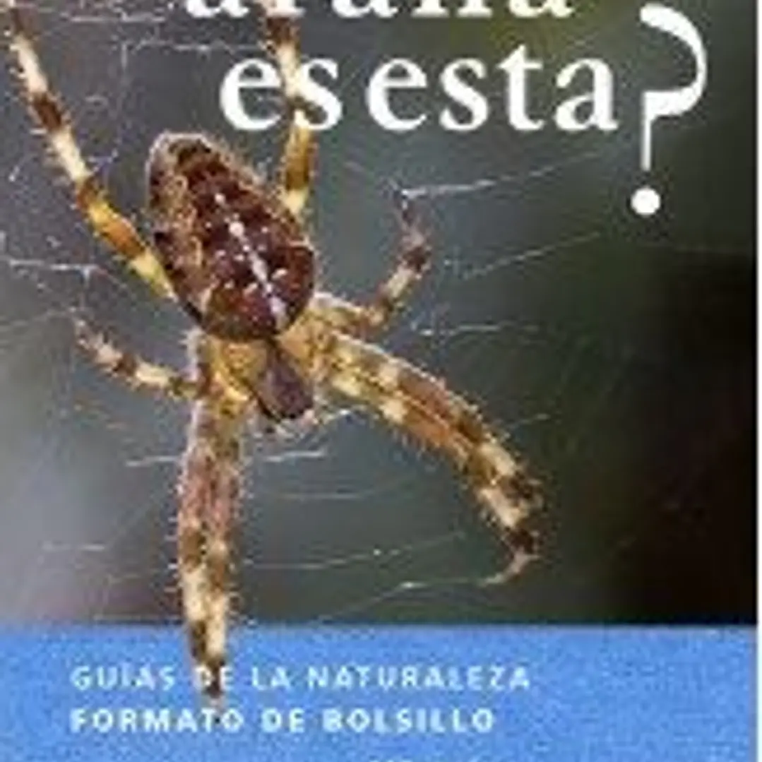 ¿QUÉ ARAÑA ES ESTA? 1