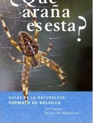 ¿QUÉ ARAÑA ES ESTA?
