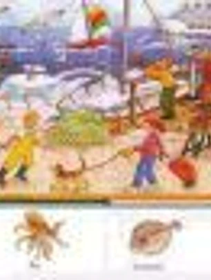 Animals