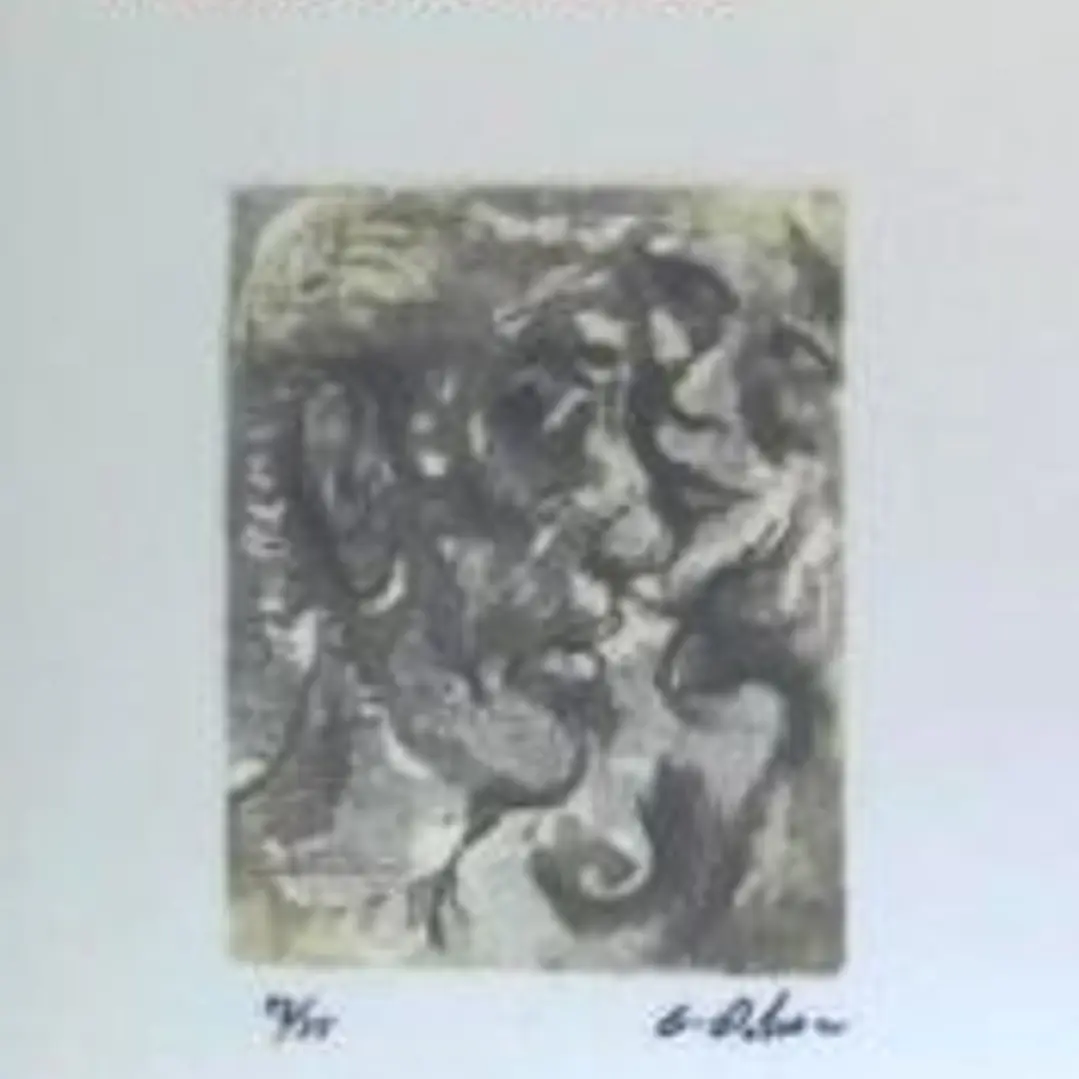 DAÑOS COLATERALES 1