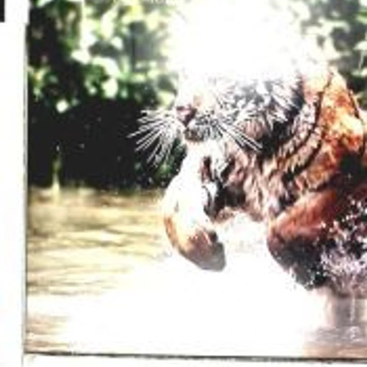 BBC planet earth 2011 1
