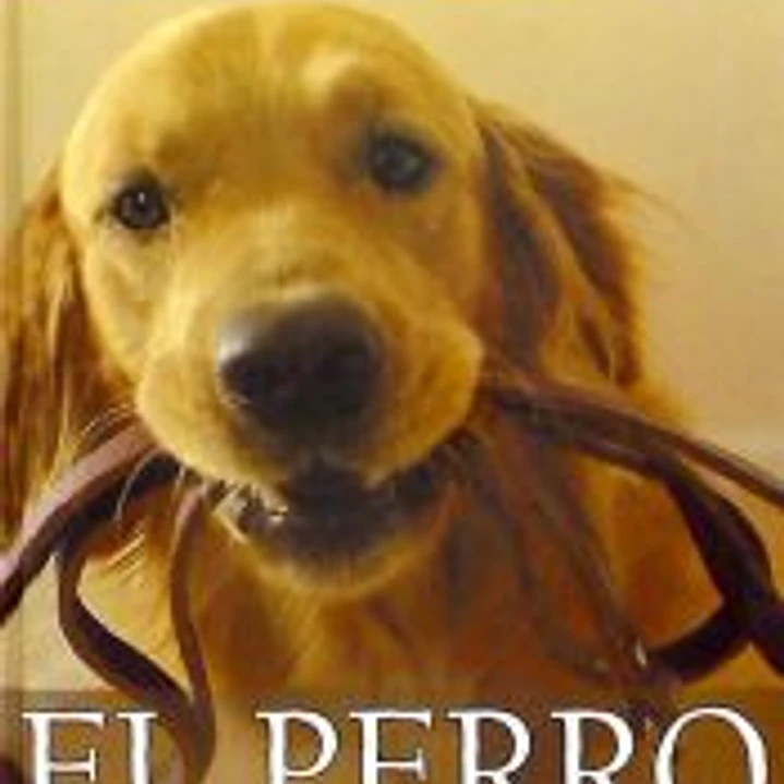 EL PERRO. NUEVO MANUAL DE ADIESTRAMIENTO 1