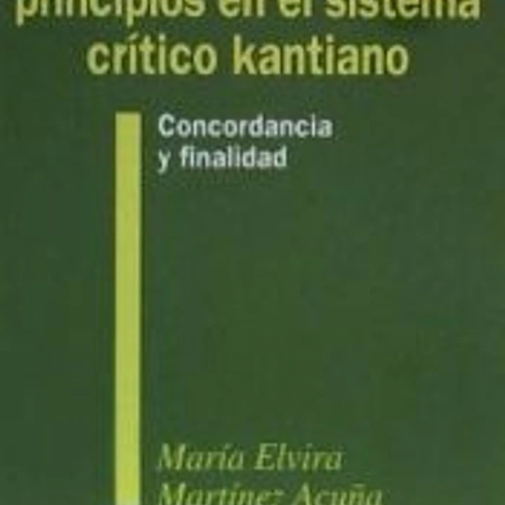 ARTICULACION DE LOS PRINCIPIOS 1