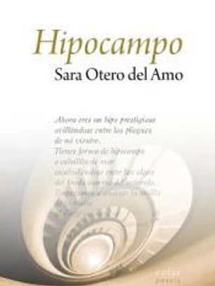 Hipocampo