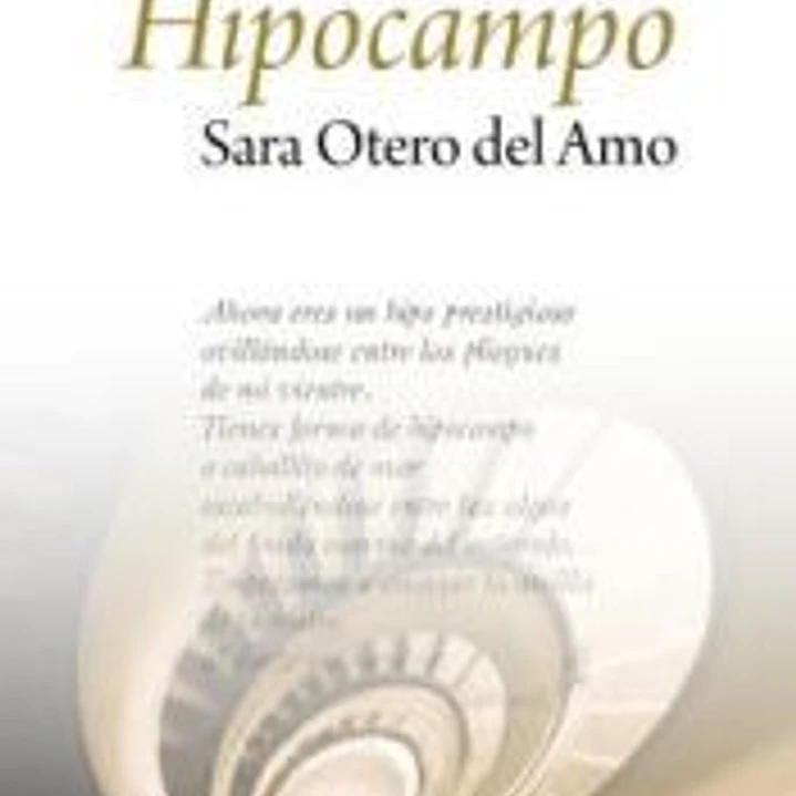 Hipocampo 1