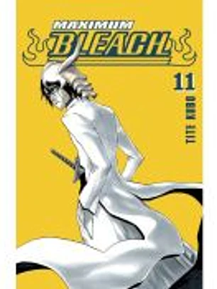 Maximum Bleach 11