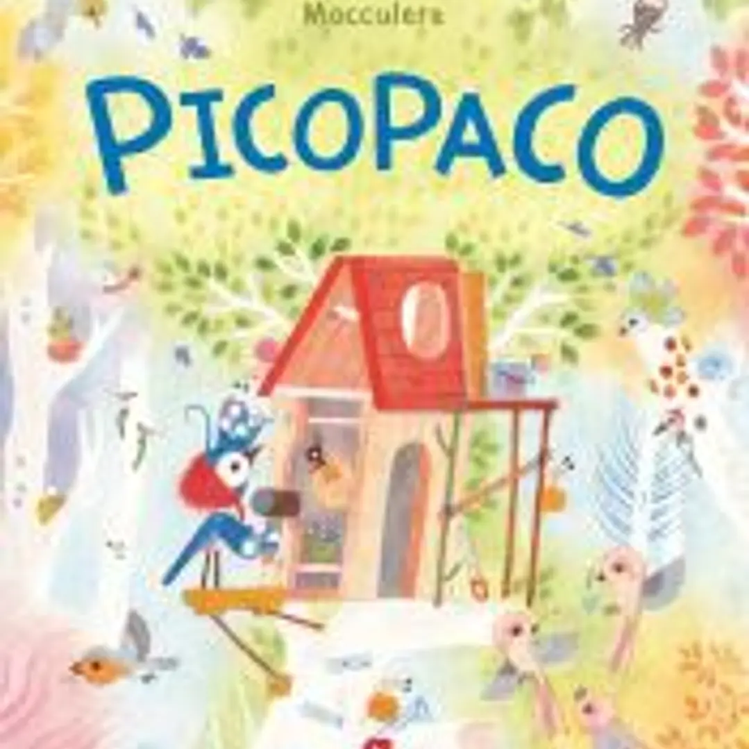 Picopaco 1