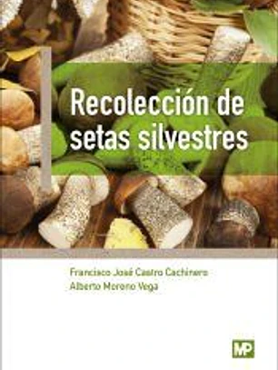 Recolección de setas silvestres