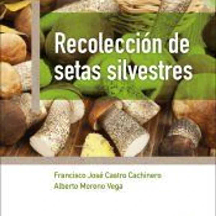 Recolección de setas silvestres 1