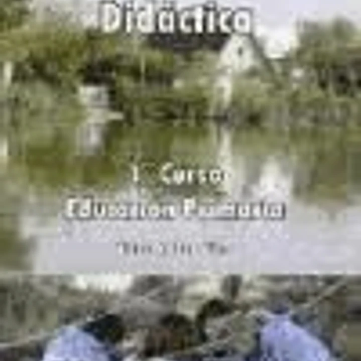 Programación didáctica. 1º curso de primaria 1