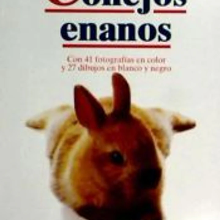 CONEJOS ENANOS 1