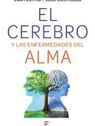 El cerebro y las enfermedades del alma