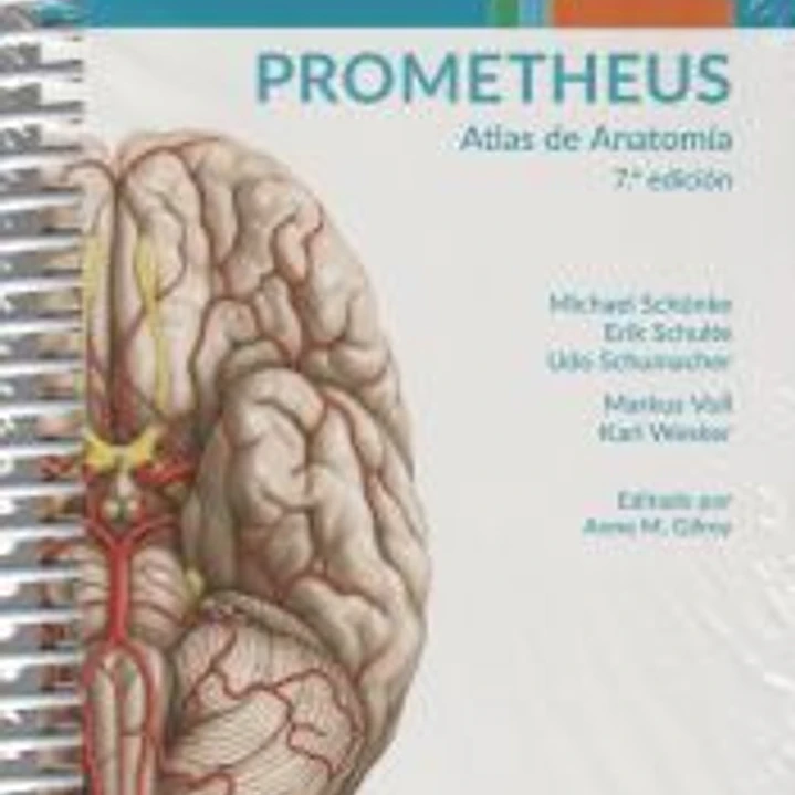 PROMETHEUS. Atlas de Anatomía.Fichas de autoevaluación: Cabeza y Cuello 1