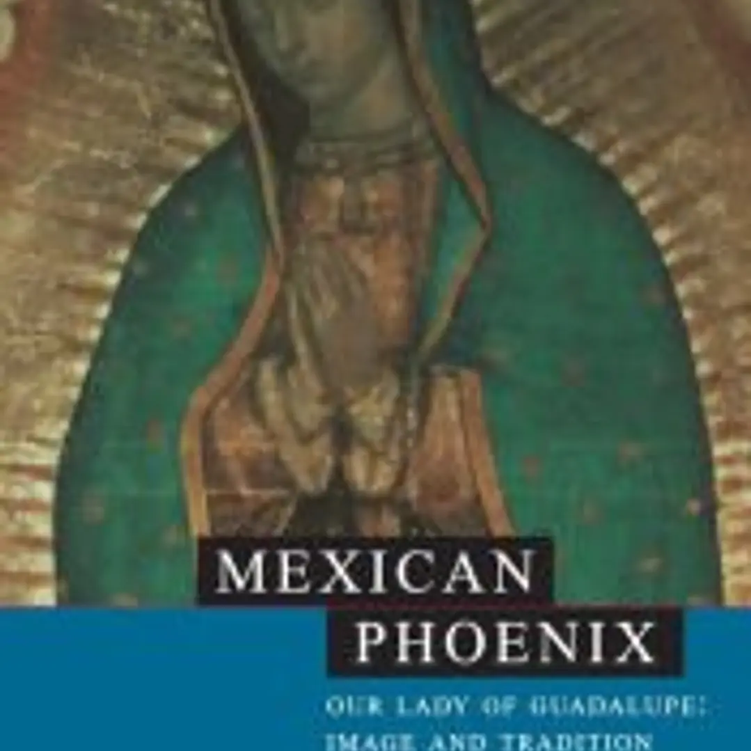 Mexican Phoenix 1