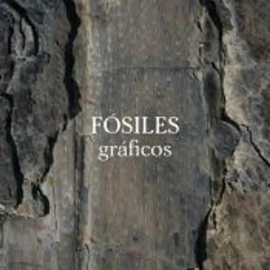 FOSILES GRAFICOS 1