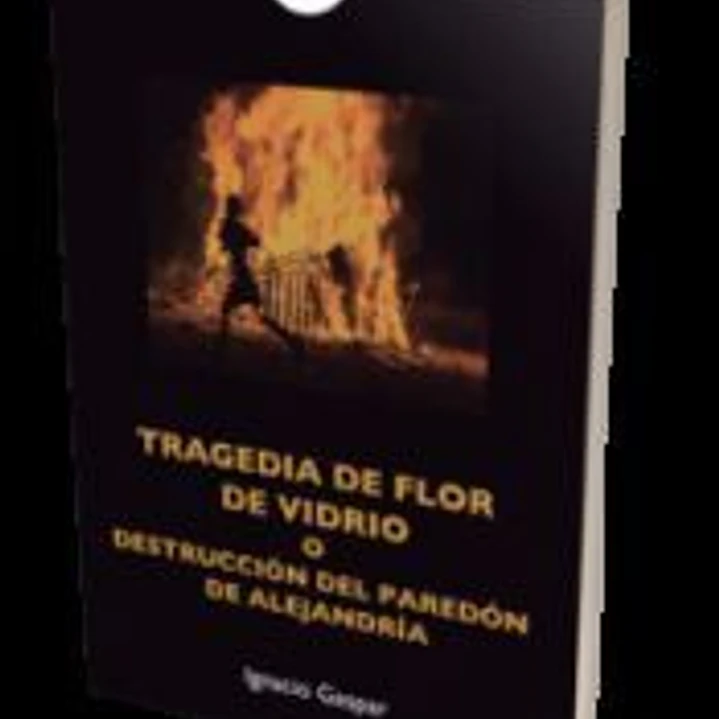TRAGEDIA DE FLOR DE VIDRIO 1
