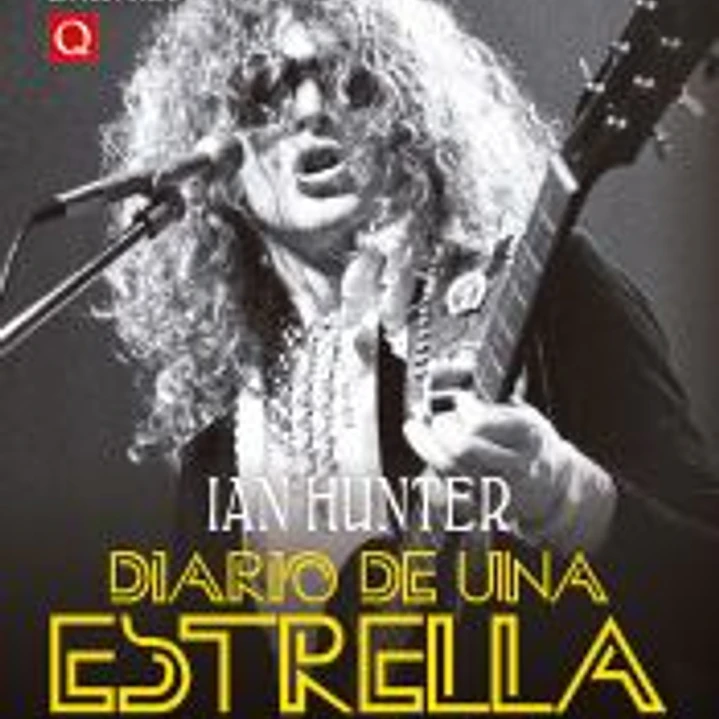 Diario de una estrella del rock 1