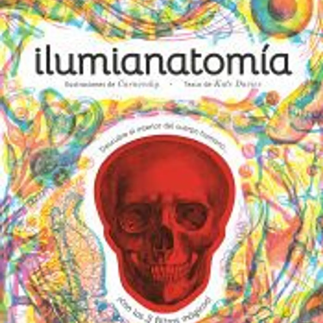 Ilumianatomía 1
