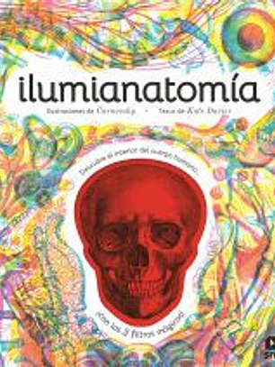 Ilumianatomía