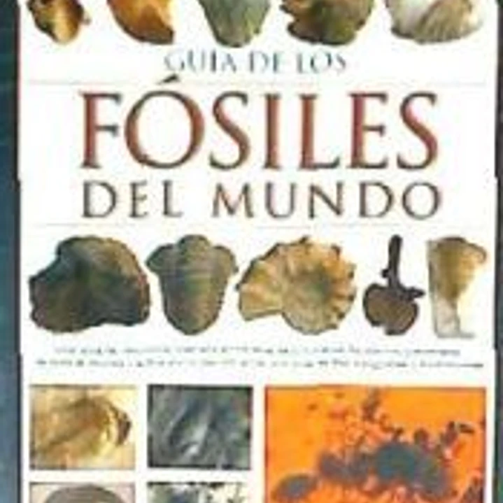 GUIA DE LOS FOSILES DEL MUNDO 1