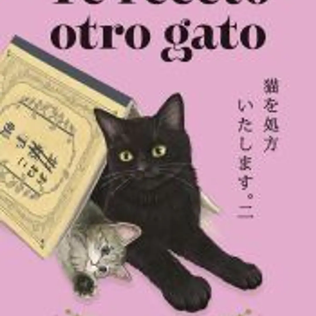 Te receto otro gato 1