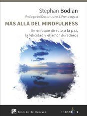 Más allá del mindfulness. Un enfoque directo a la paz, la felicidad y el amor duraderos