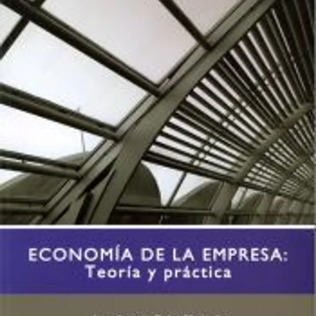 Economía de la empresa : teoría y práctica 1